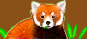 Sample text の レッサーパンダ の絵