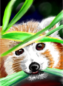 ⋆su⋆vinci彡 の レッサーパンダ の絵