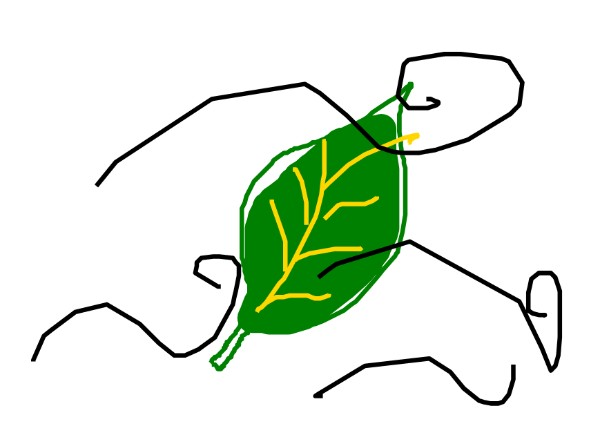 sarah の 葉 の絵