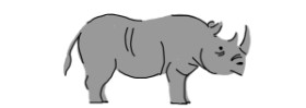 Drawing of Rhino by alison