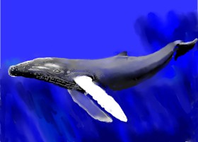 SAM AKA MARGARET 🙄 の クジラ の絵