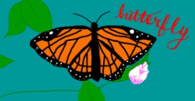 Drawing of Butterfly by Ghost