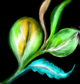 ⋆su⋆vinci彡 の 葉 の絵