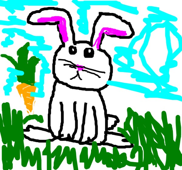 dscwvjh の ウサギ の絵