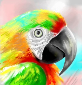 Drawing of Parrot by ⋆su⋆vinci彡