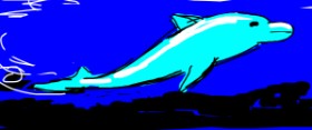 Boris の イルカ の絵