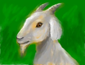🌈SunShine🐴🌻 の ヤギ の絵