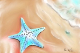 Wizard の ヒトデ の絵