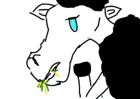Drawing of Sheep by Fgy au guy go g