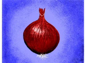 Darta の 玉ねぎ の絵