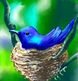 Drawing of Nest by ⋆su⋆vinci彡