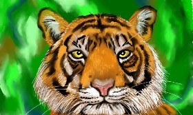 Tigar - autor: Tim