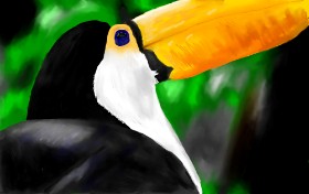 Effulgent Emerald の オオハシ の絵