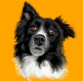 Drawing of Dog by Mell 🌠