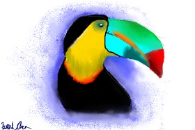 Drawing of Toucan by saraharts