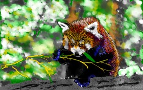 teidolo の レッサーパンダ の絵