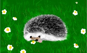 Drawing of Hedgehog by Unknown