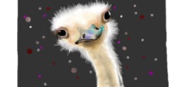 Drawing of Ostrich by DebbyLee