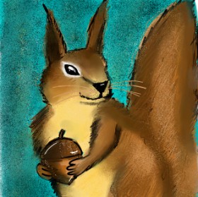 Drawing of Acorn by Yasmeen