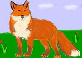 Vicki の キツネ の絵