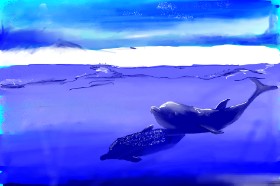 Dm の イルカ の絵