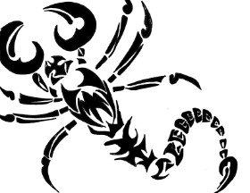 Skorpion-Zeichnung von kishi.