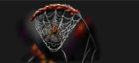 Drawing of Spider web by Çhåching
