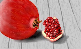 Drawing of Pomegranate by SAM AKA MARGARET 🙄