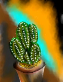 Kaktus - autor: Yashi® 🐢