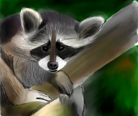 Lou の アライグマ の絵