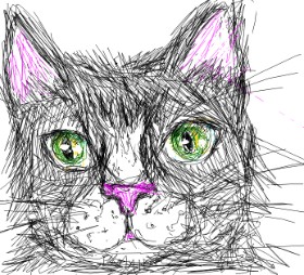 Kiwi の 猫 の絵
