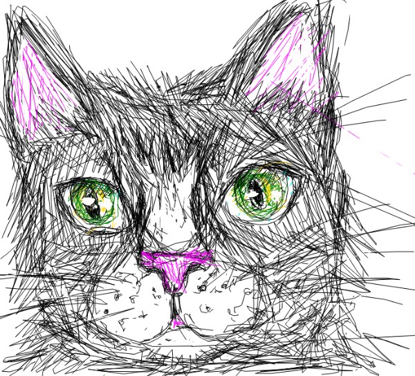 Kiwi の 猫 の絵