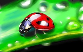 Edgar の てんとう虫 の絵