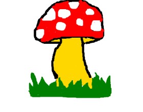 Drawing of Mushroom by MPK