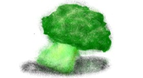 cookie karr の ブロッコリー の絵