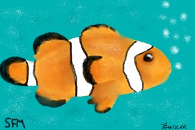 Рисунок на тему «Clownfish» — автор: Banana