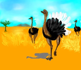 Dexl の ダチョウ の絵