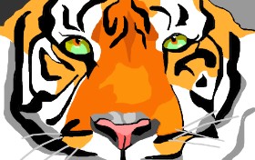 Herbert の トラ の絵
