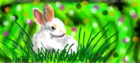 Рисунок на тему «Кролик» — автор: Priyu