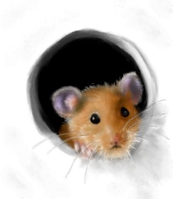 Рисунок на тему «Мышь» — автор: 👽mint