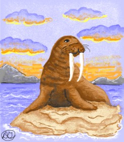 Drawing of Walrus by GreyhoundMama