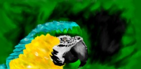 Effulgent Emerald の オウム の絵