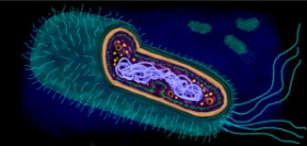 Drawing of Bacteria by Temüjin