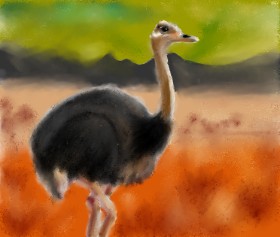 Yasi の ダチョウ の絵