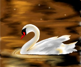 Sucker の 白鳥 の絵