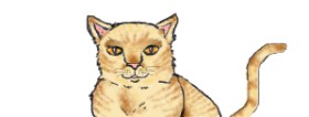 hahah の 猫 の絵