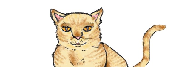 hahah の 猫 の絵