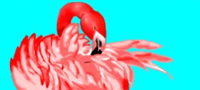 Jenny の フラミンゴ の絵