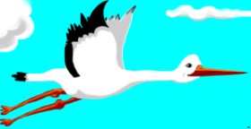 Swimmer の コウノトリ の絵