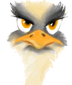 Drawing of Ostrich by 🦊Foxxy